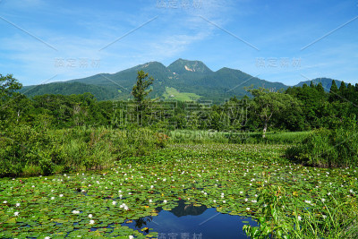 夏日的imori池塘