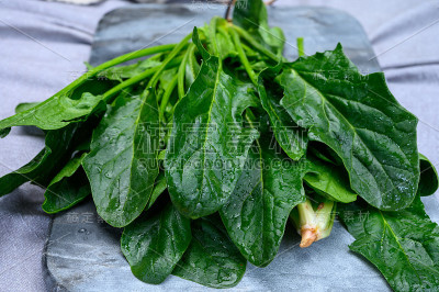 绿色有机菠菜的新鲜嫩叶准备烹调