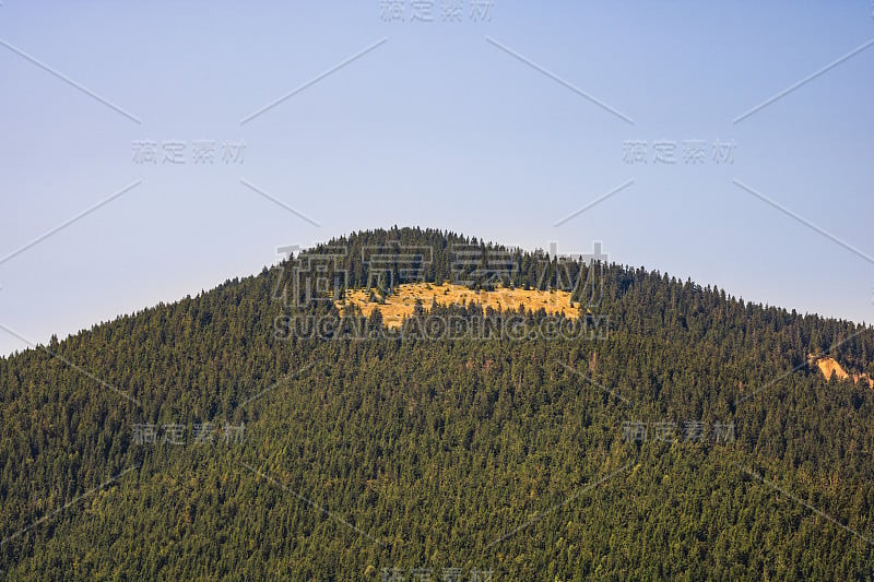 绿色的山林景观。罗马尼亚比霍尔美丽的自然风光和高山草甸。