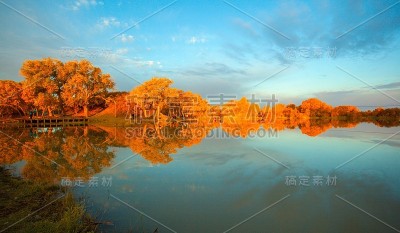 额济纳的秋日清晨