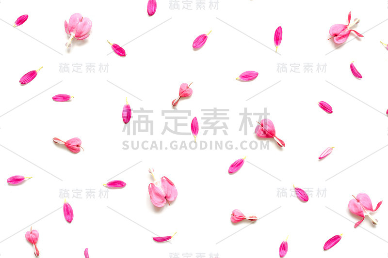 粉红色的花瓣和心形的花蕾组成