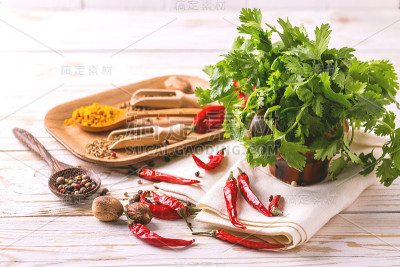 印度香料和香菜。Copyspace。横向视图