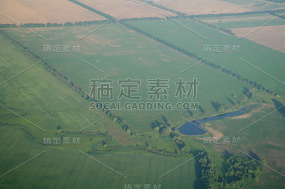农业植物鸟瞰图