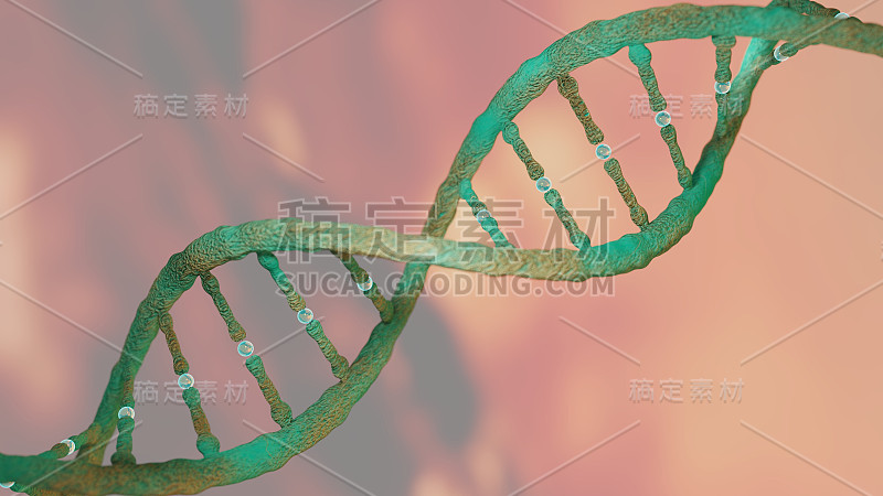 DNA链螺旋概念，DNA研究CRISPR