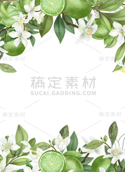 卡片模板，框架手绘盛开的酸橙树枝，花和酸橙在白色的背景