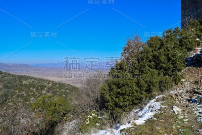 马其顿的性质。石竹(石竹)山地森林