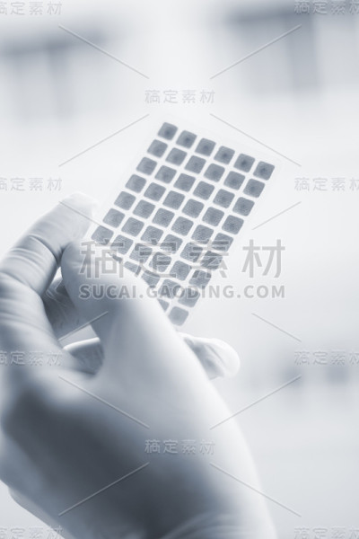 耳穴疗法针灸耳穴种子
