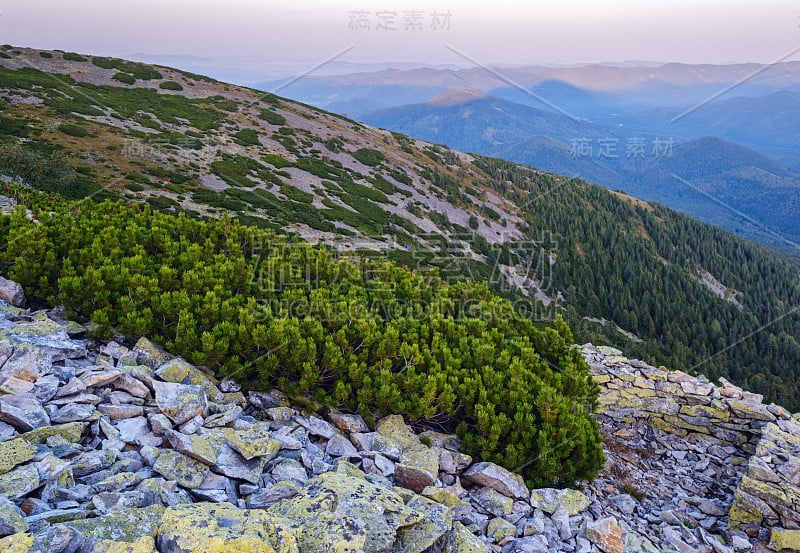 夏天喀尔巴阡山脉的夜景。Stony Gorgany山体，乌克兰。