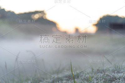 冬天的日出有冰和雾