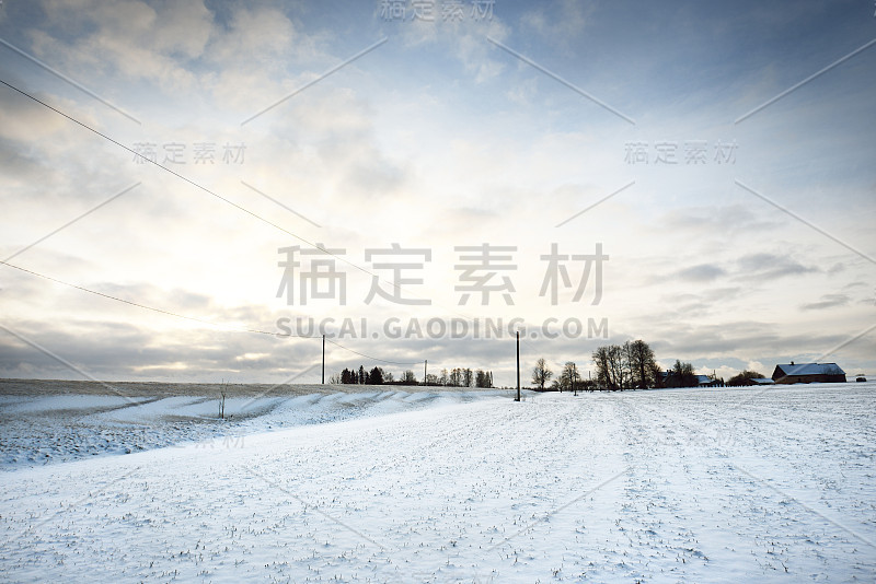 日落时白雪覆盖的田野全景。乡村的房子和树在后面。晚上美丽的云。芬兰拉普兰