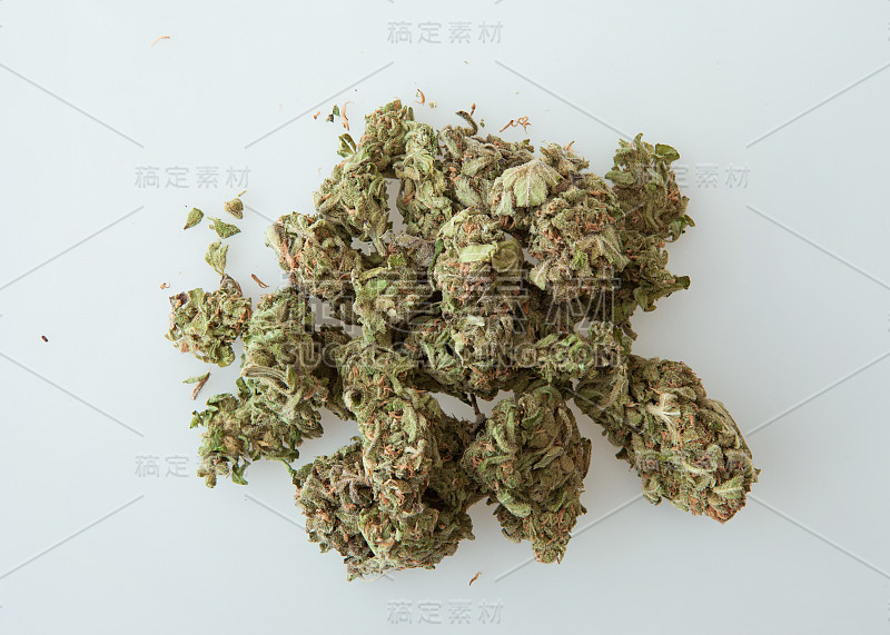 大麻味蕾