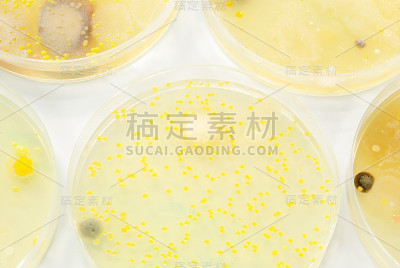 宏模具殖民地