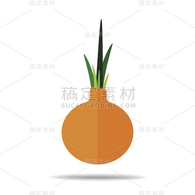洋葱水果矢量