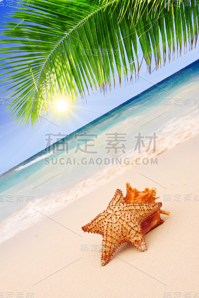 海星与海洋同在。
