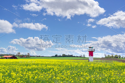 灯塔和一片油菜地在瑞典南部，Ven岛