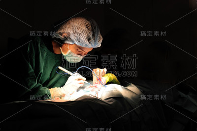 兽医在手术室