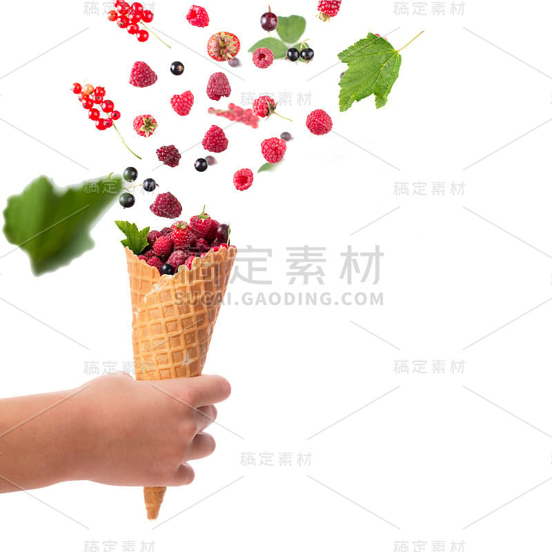 新鲜的浆果落入儿童手中的华夫饼号孤立在白色与复制空间