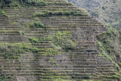 Batad村-从小屋地区看大米梯田。Banaue-Ifugao-Luzon-Phlippines。0