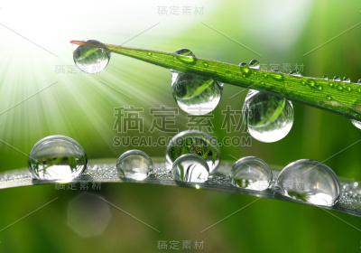 露滴
