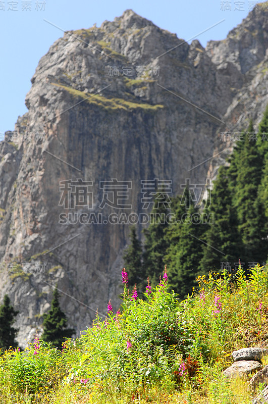 夏天山，扎利斯基·阿拉图。高山，巨石。天山。阿拉木图