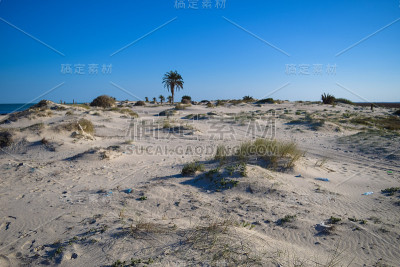 突尼斯的野性。北非地中海沿岸