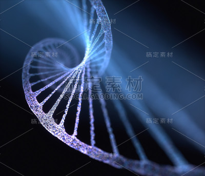 DNA遗传分子结构