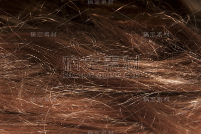 多毛的