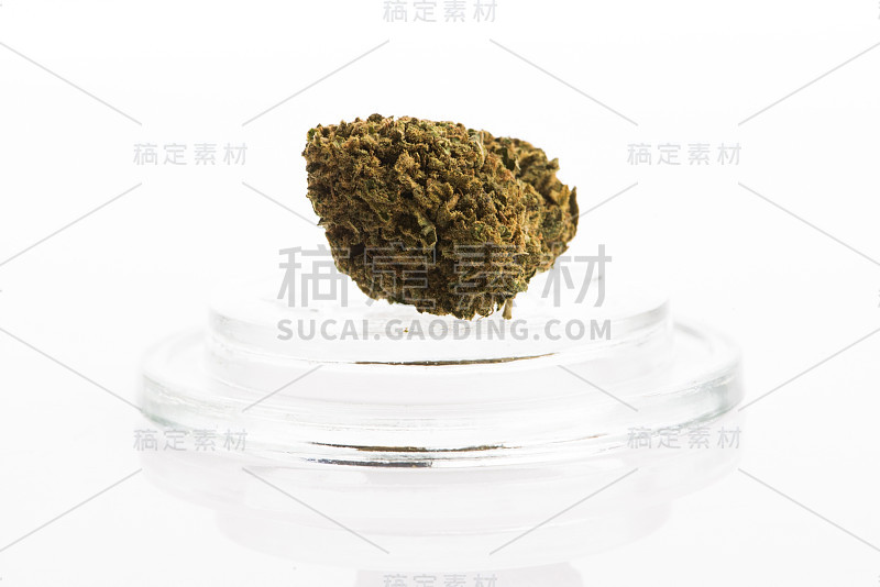 大麻大麻的花蕾，孤立在白色的背景上