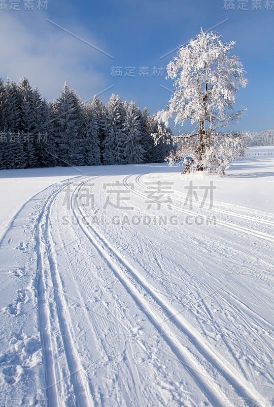 冬季景观与改良越野滑雪方式