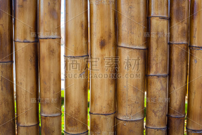 老黄竹栅栏纹理背景