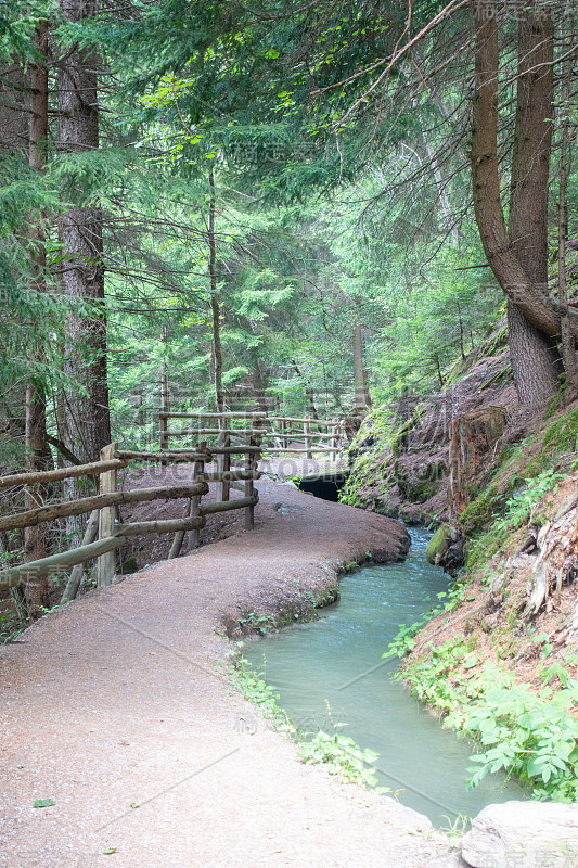 令人惊叹的徒步旅行路线沿着瑟提罗德尔索尔河通道穿过高山森林