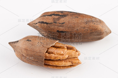 白色背景上分离的山核桃