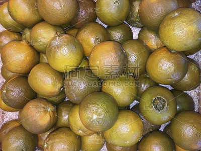 脐橙是芸香科的一种稀有品种，植物学分类为柑橘(Citrus sinensis)