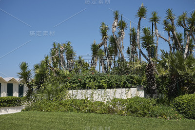 海上米兰