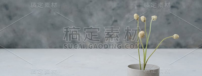 横幅，基座或产品展示混凝土平台上的干燥简约的花和自然树叶在绿色的背景。本空间