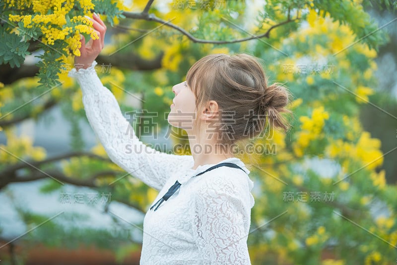 一个看含羞草开花的女人