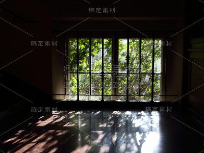 地板上有光反射的窗户和背光杂草