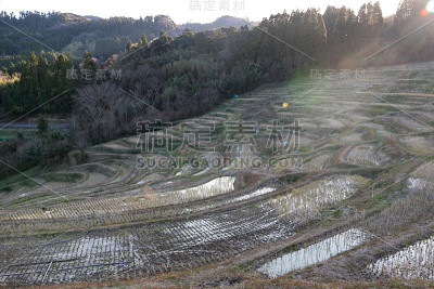 日本千叶县鸭川市的冬季梯田