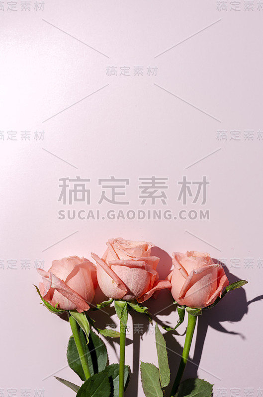 美丽的春花花束