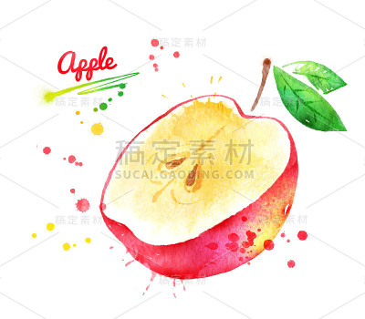 半颗红苹果的水彩画