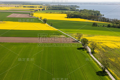 夏季收获田的鸟瞰图