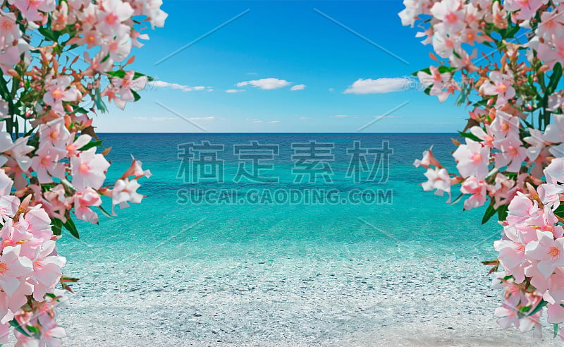 花和海洋