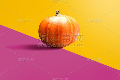 色彩鲜艳的南瓜