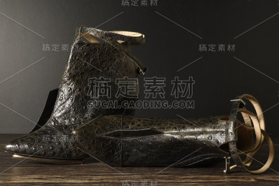 豪华女式皮靴