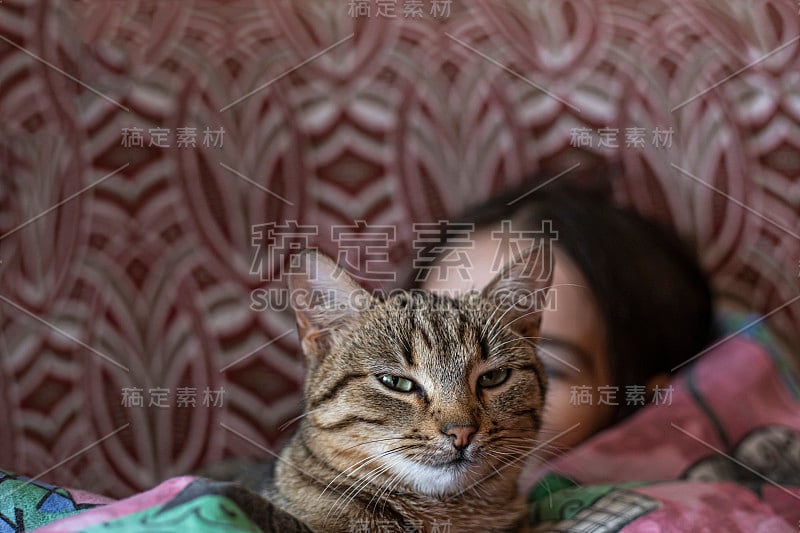 一只猫和一个裹着被子的女孩在沙发上打盹