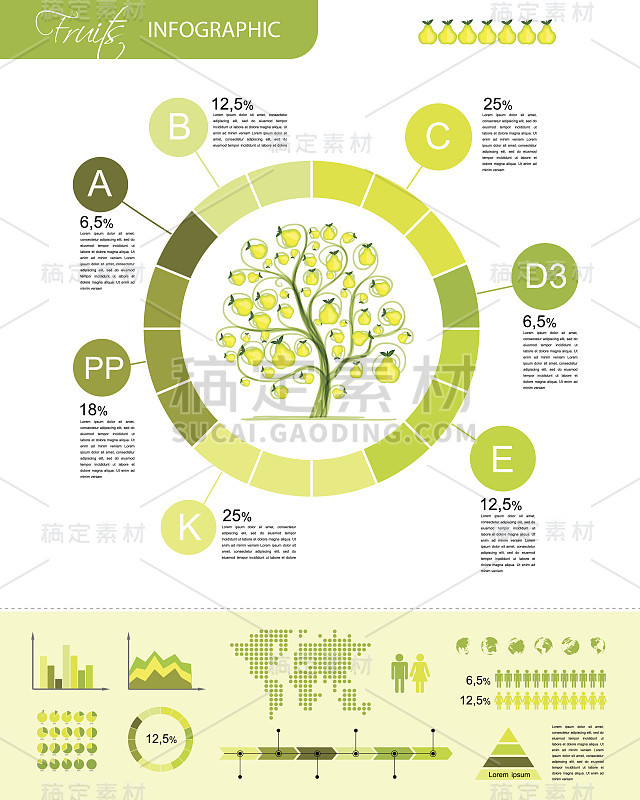 水果信息图为您的设计