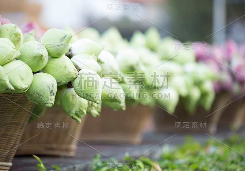 荷花放在篮子里