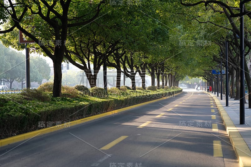 在阳光明媚的日子里，绿树荫下的空旷道路。