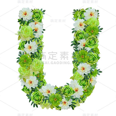 字母U从绿色和白色的花孤立在白色