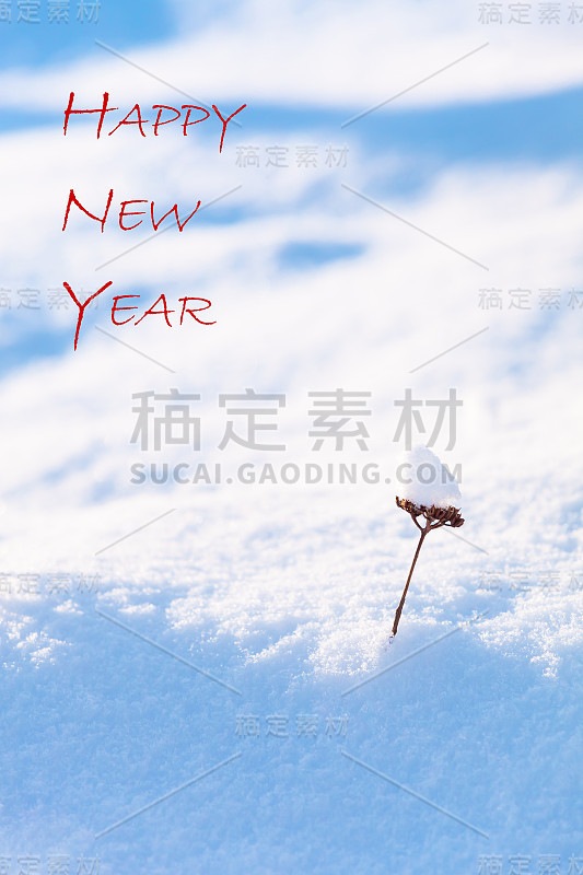 新年祝福和小雪树